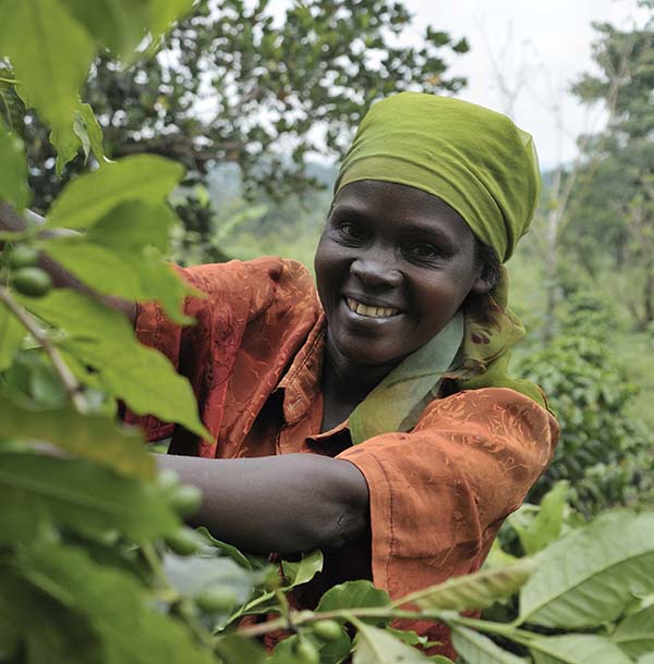 The Rural Communications Development Fund (RCDF) – Project&nbsp;Brief