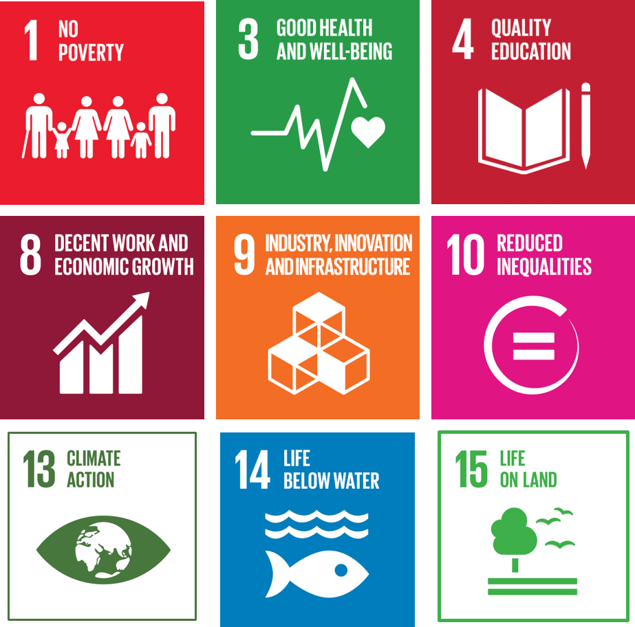 PARTNERING WITH UN TO DELIVER SDGs THROUGH ICT -Commemoration of the UN’s 75th&nbsp;Anniversary